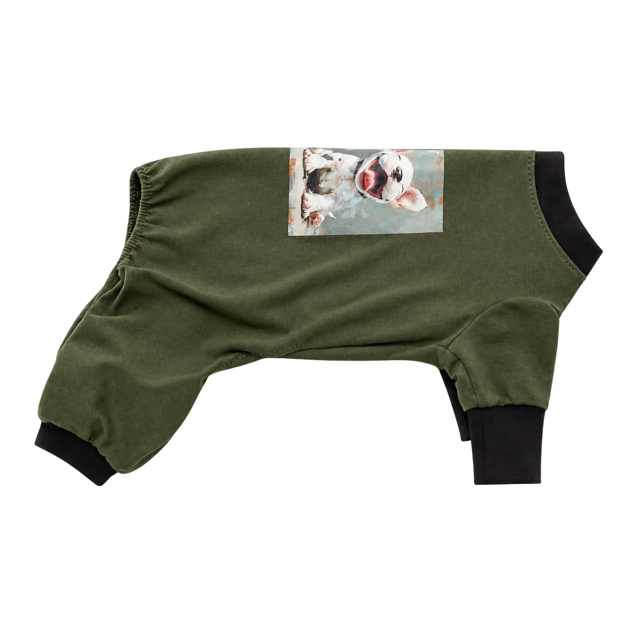 Combinaison douillette en tricot pour chien