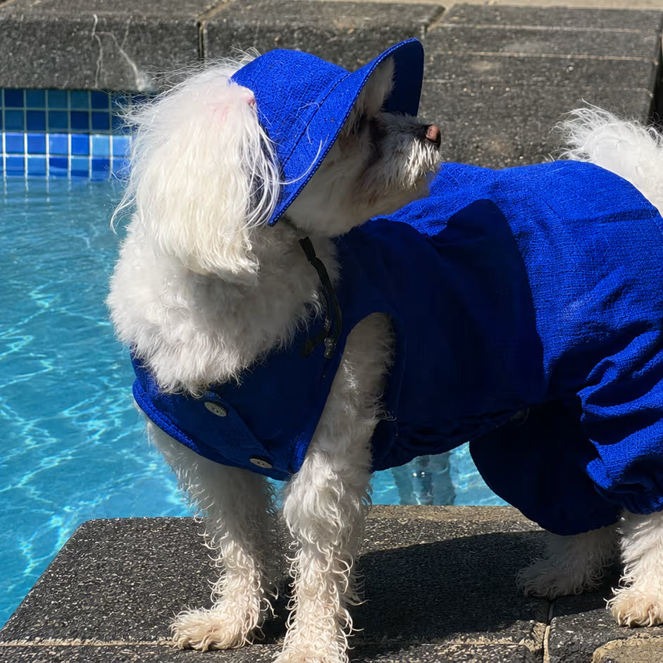 Combinaison légère d'été pour chien