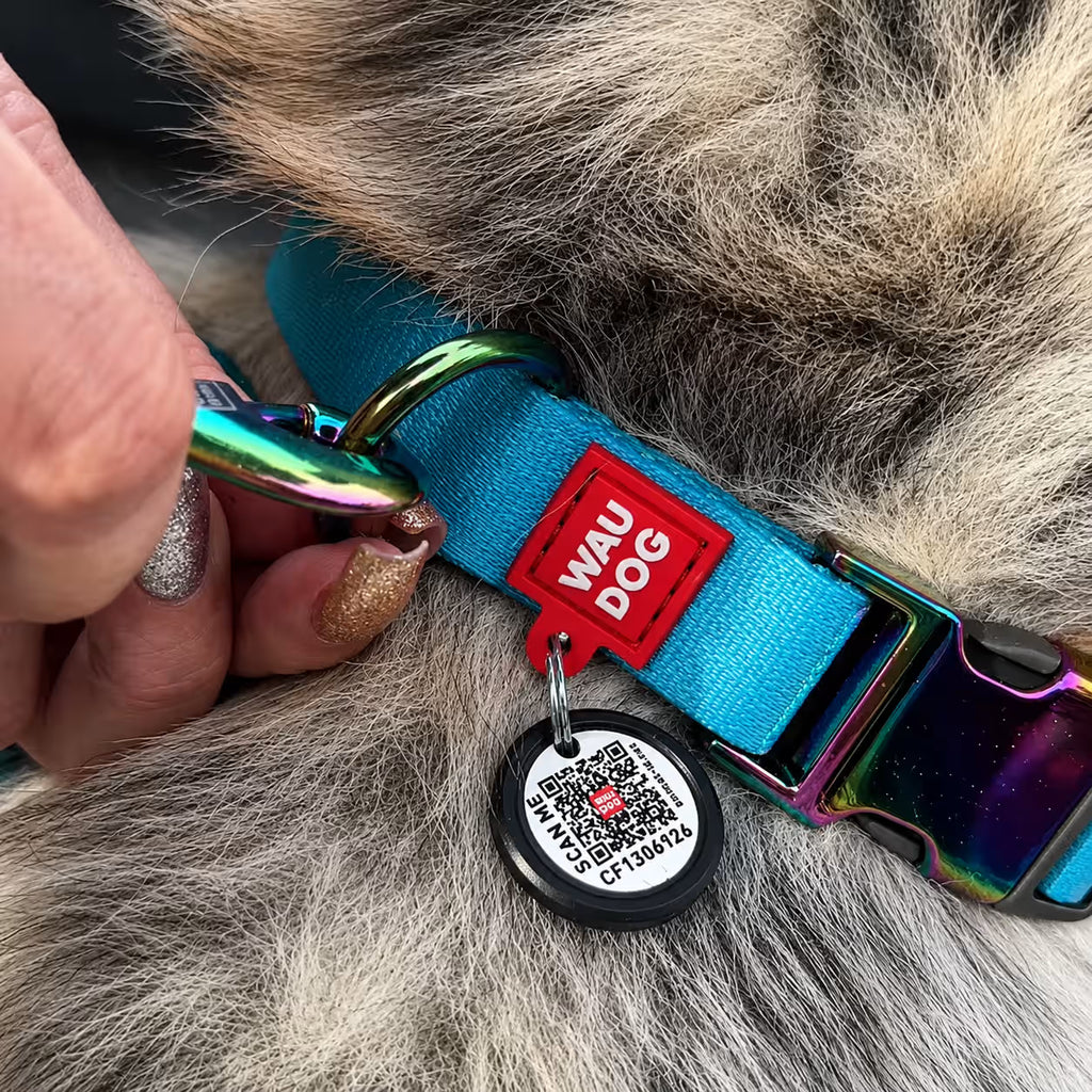 Gradient Recycled Nylon Dog Collar with QR Passport