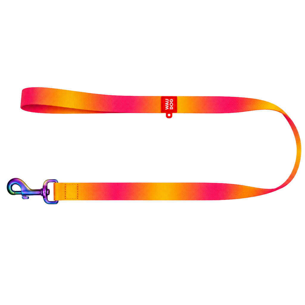 Gradient Eco Recycled Nylon Dog Leash