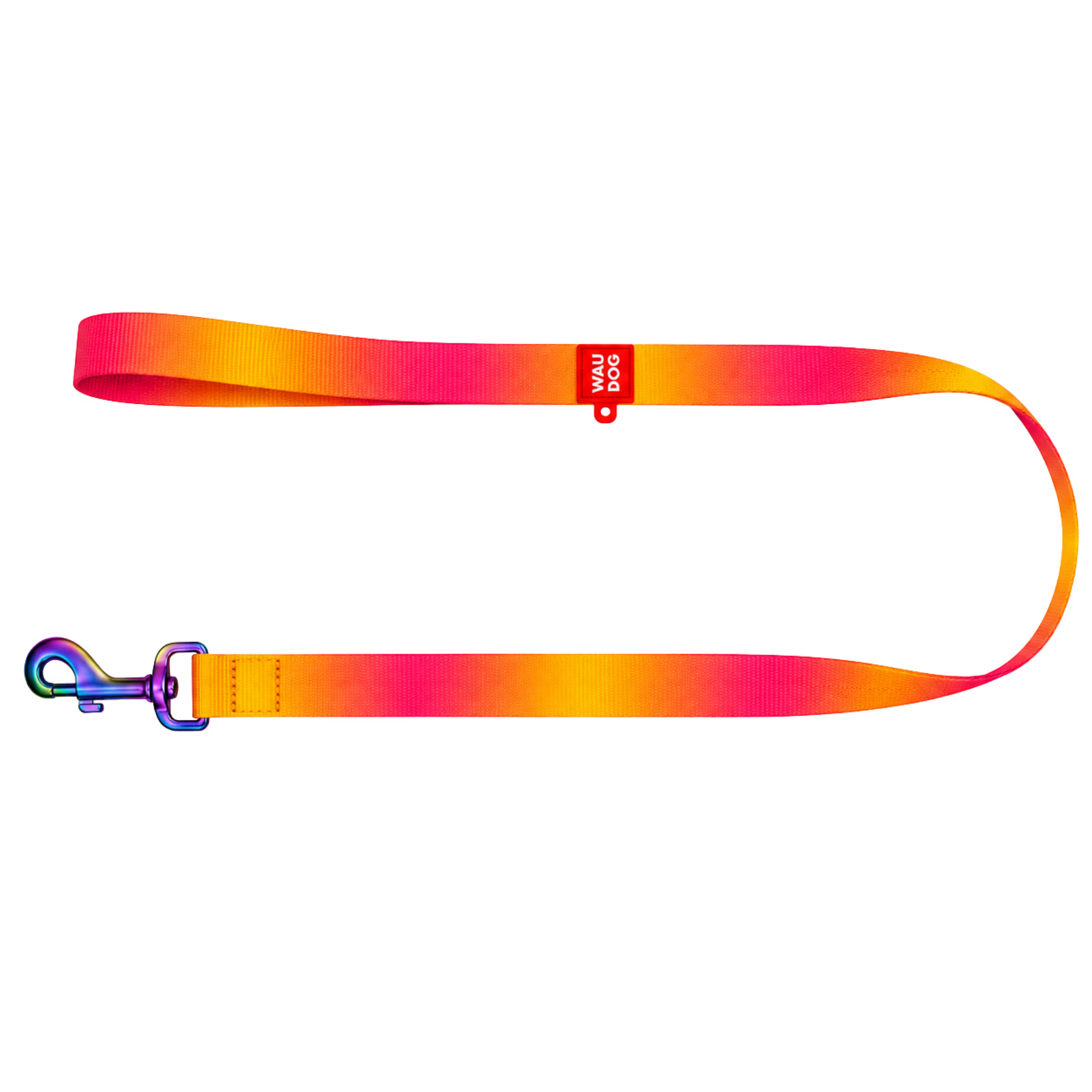 Gradient Eco Recycled Nylon Dog Leash