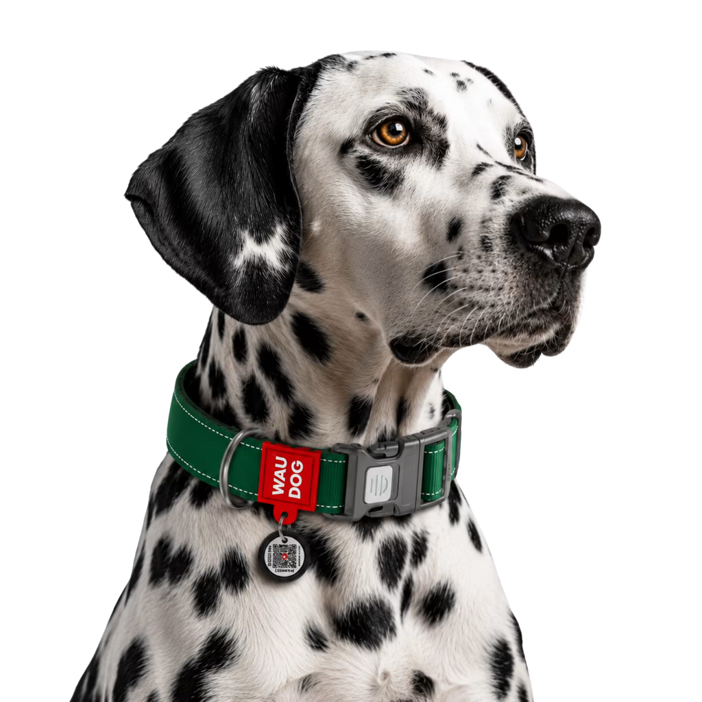 Mono Reflective Dog Collar with QR ID Tag