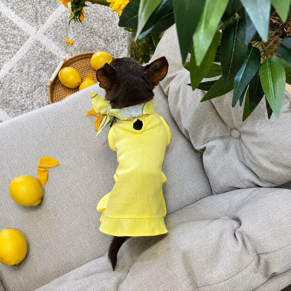 Sophie Linen Dog Dress – Breathable Summer Dress for Small Dogs