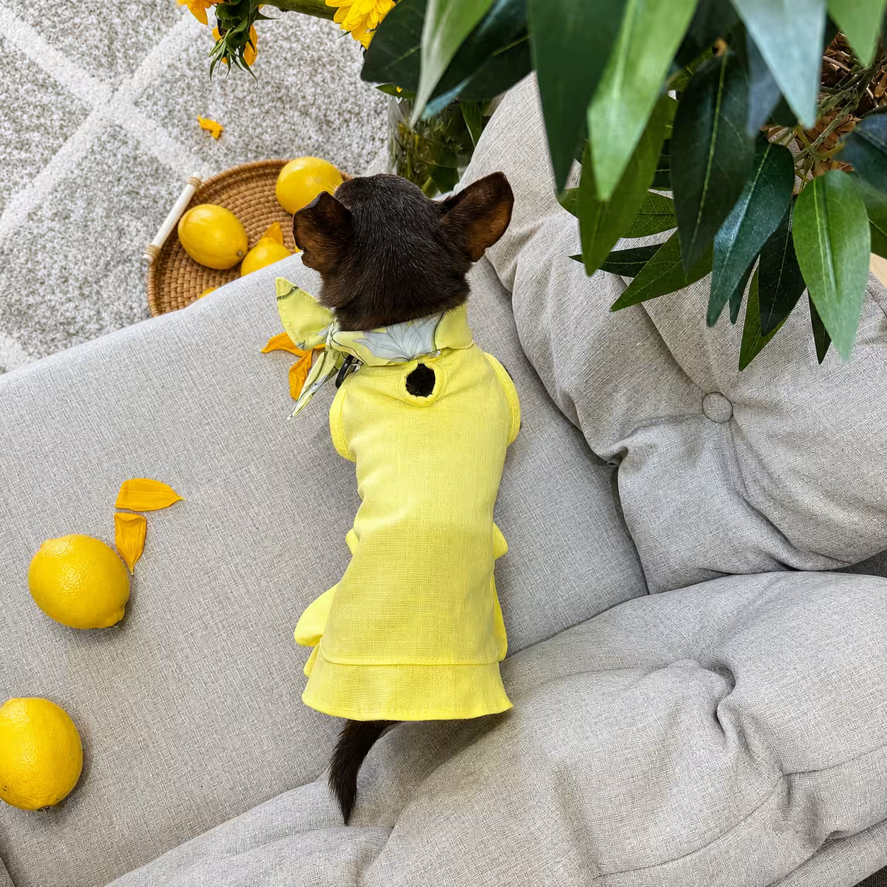 Sophie Linen Dog Dress – Breathable Summer Dress for Small Dogs