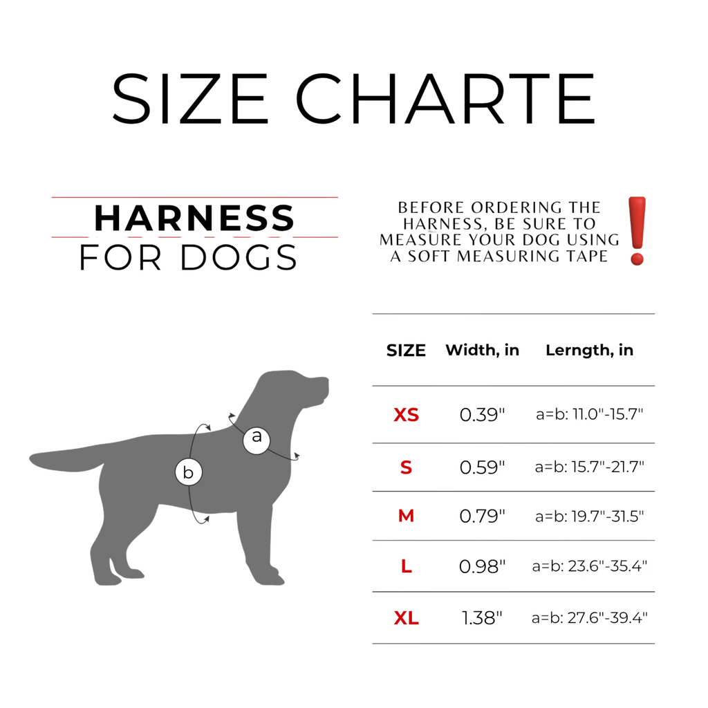 Waterproof Reflective Dog Harness with QR ID Tag