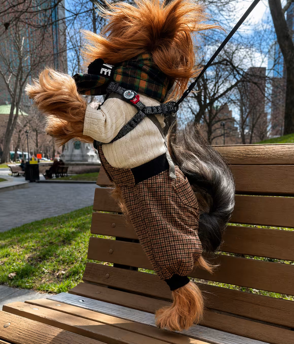 Scottish Wool Dog Scarf