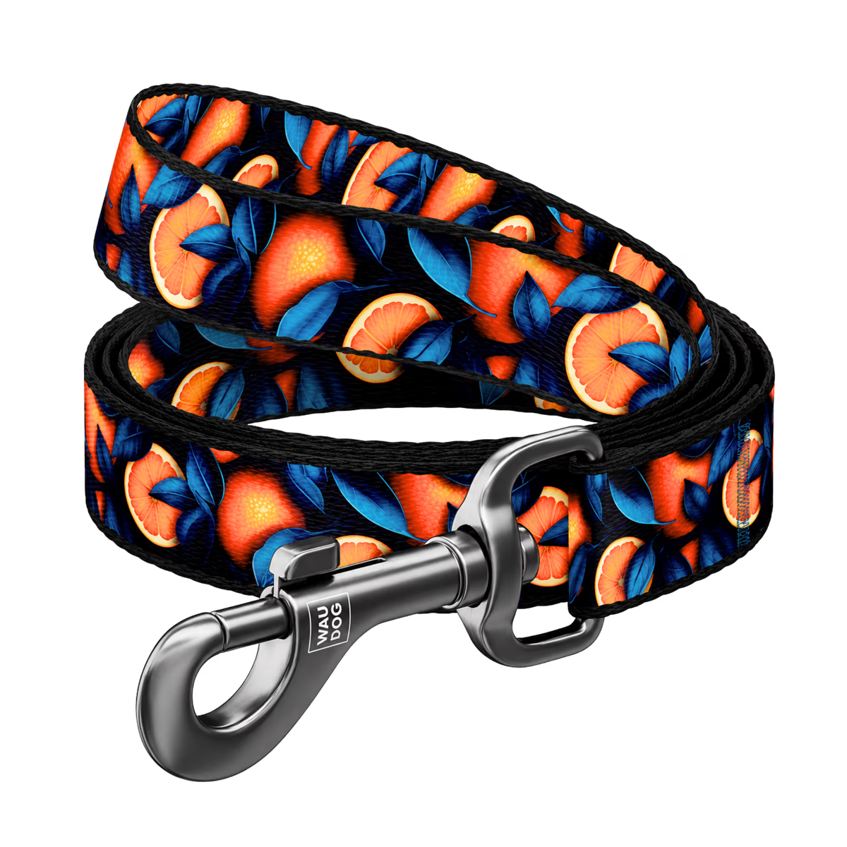 Monsters & Oranges Nylon Dog Leash