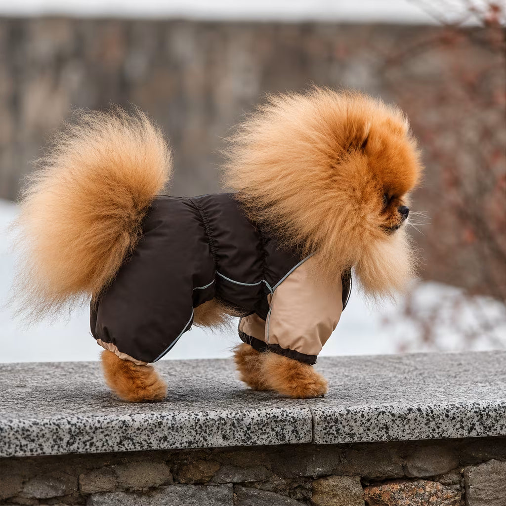 Waterproof Dog Raincoat for Pomeranians