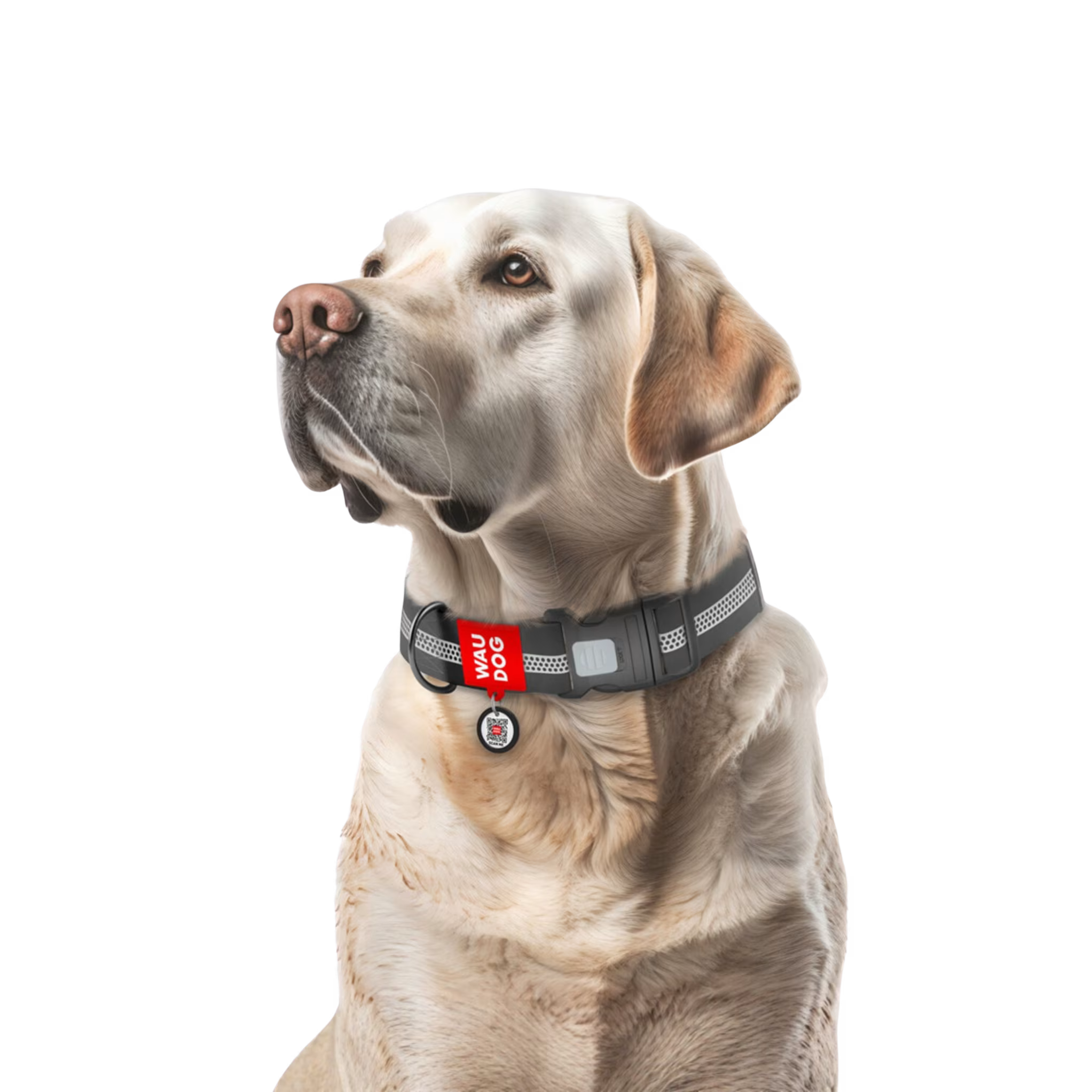 Waterproof Reflective Dog Collar with QR ID Tag