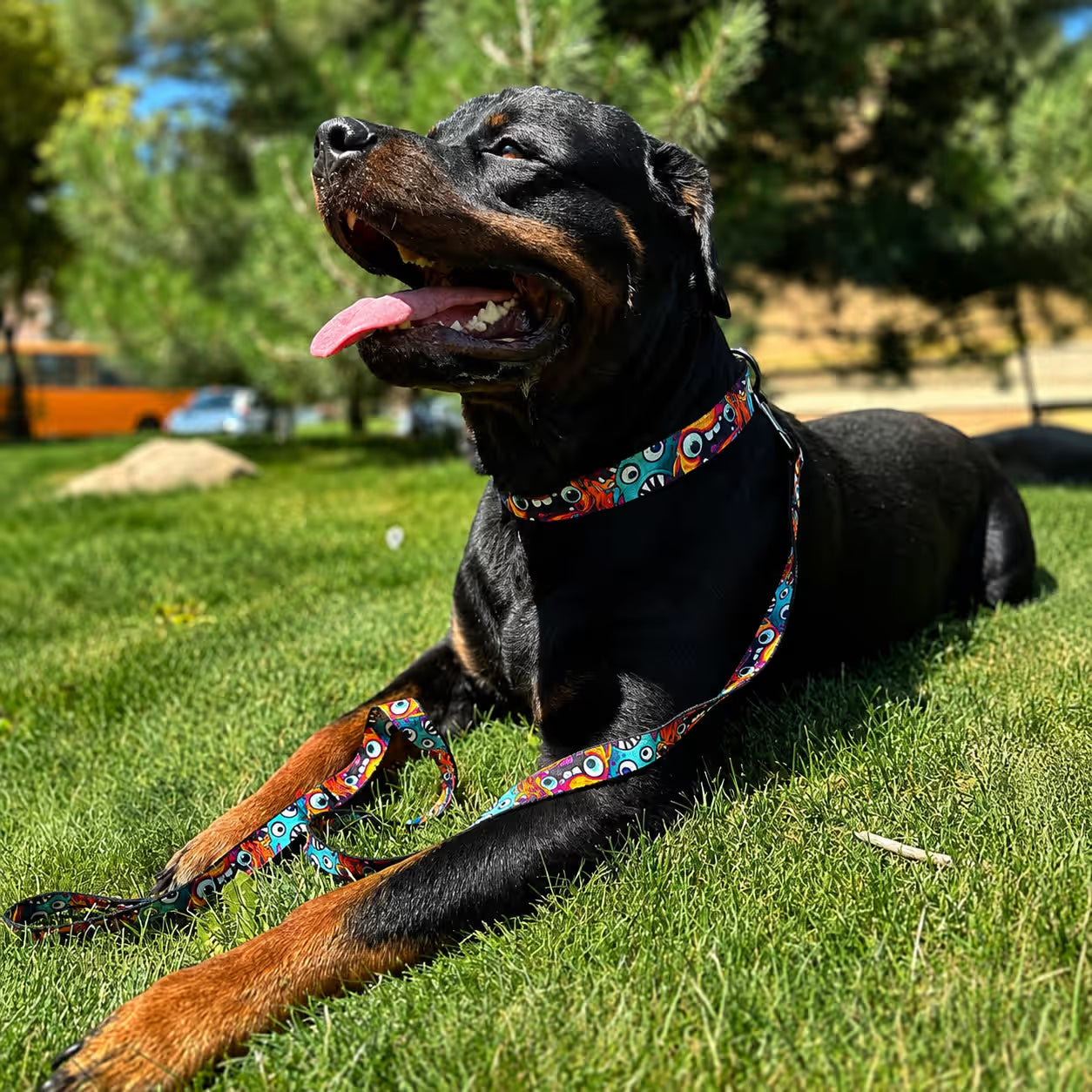 Nylon Dog Leash – Monsters & Oranges Collection