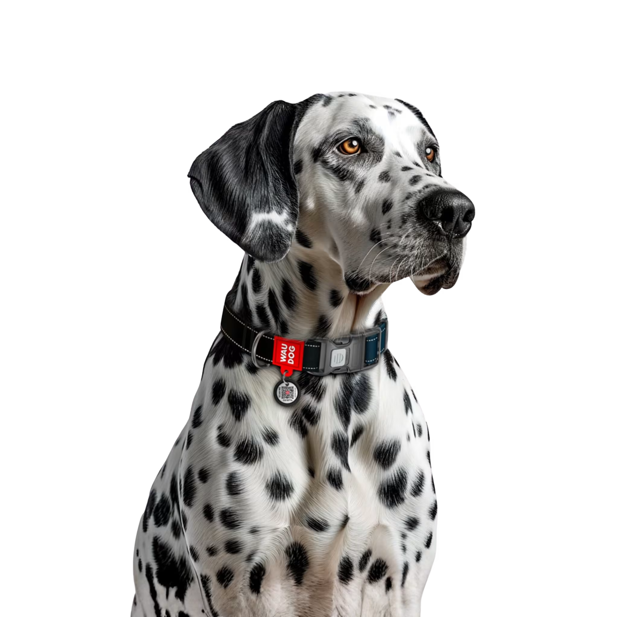 Mono Reflective Dog Collar with QR ID Tag