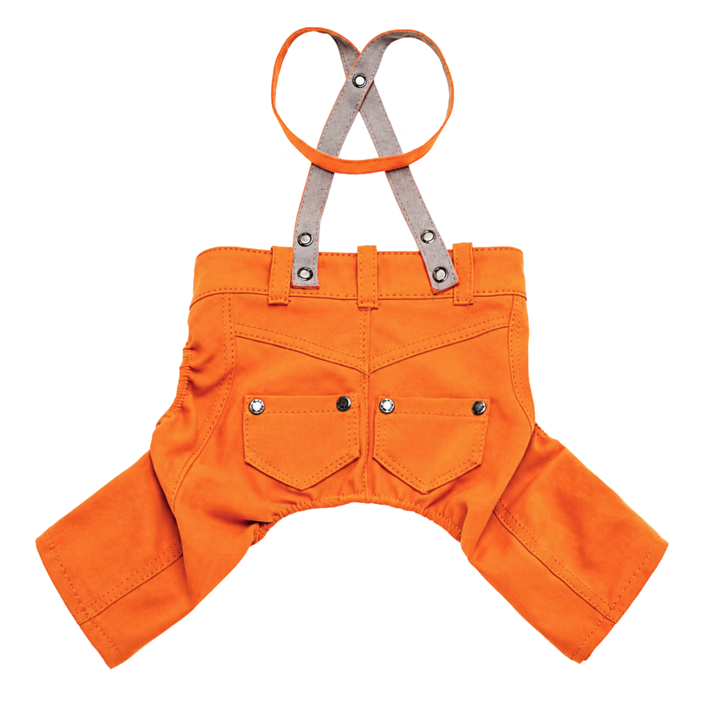 Designer Denim Dog Jacket & Pants Set with Lace