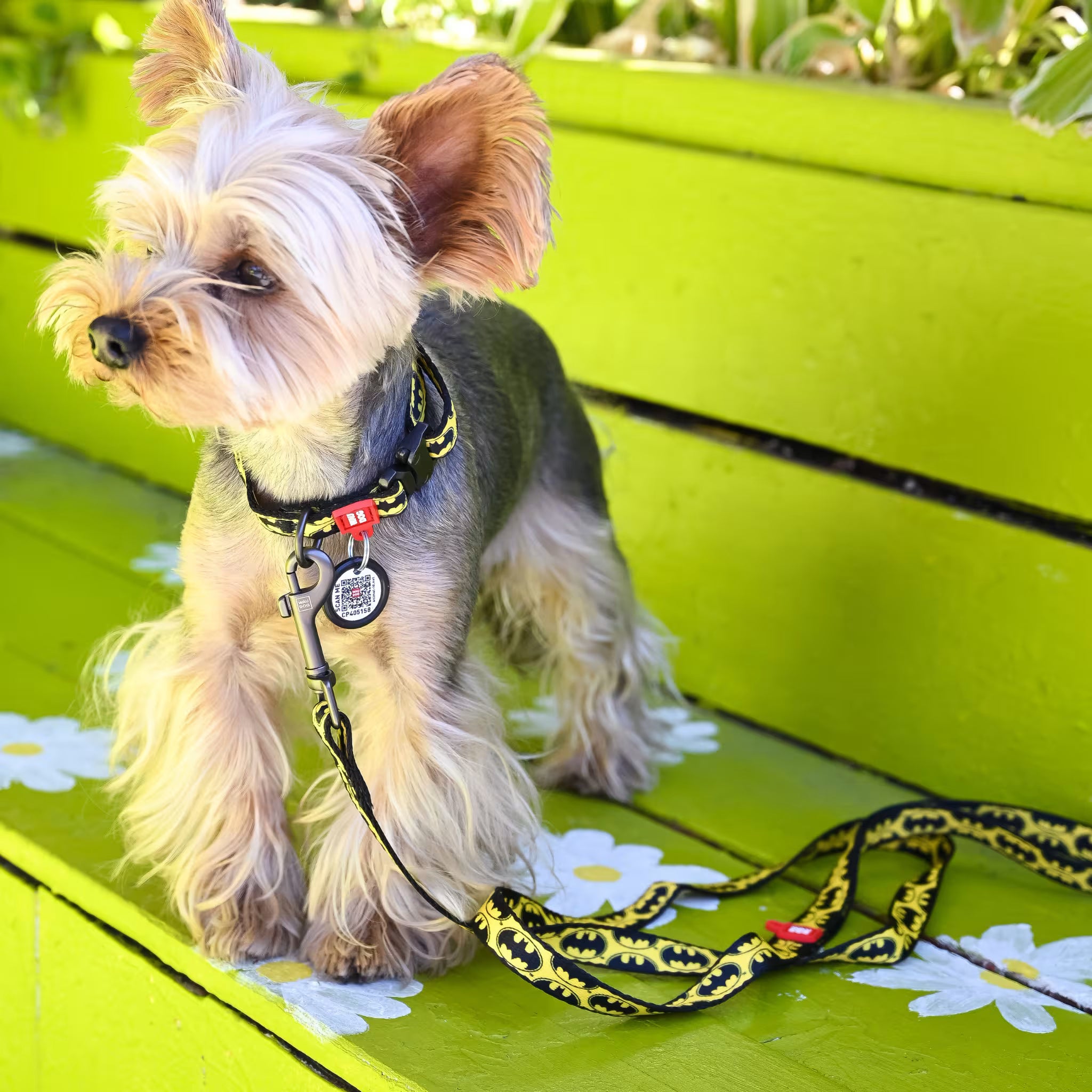 Batman Dog Leash with QR ID Tag