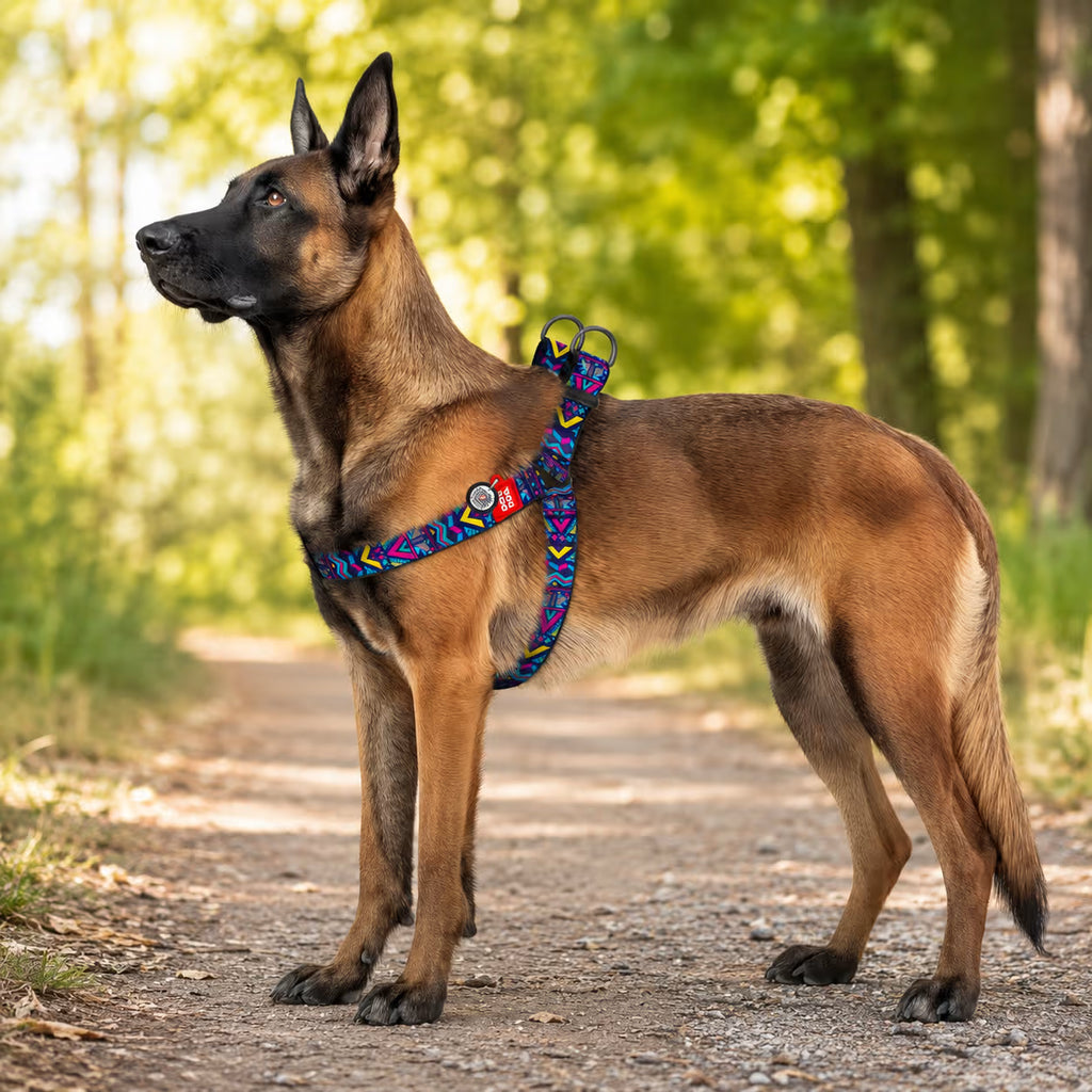 Nylon Dog Harness with Smart QR ID Tag – Indie Collection