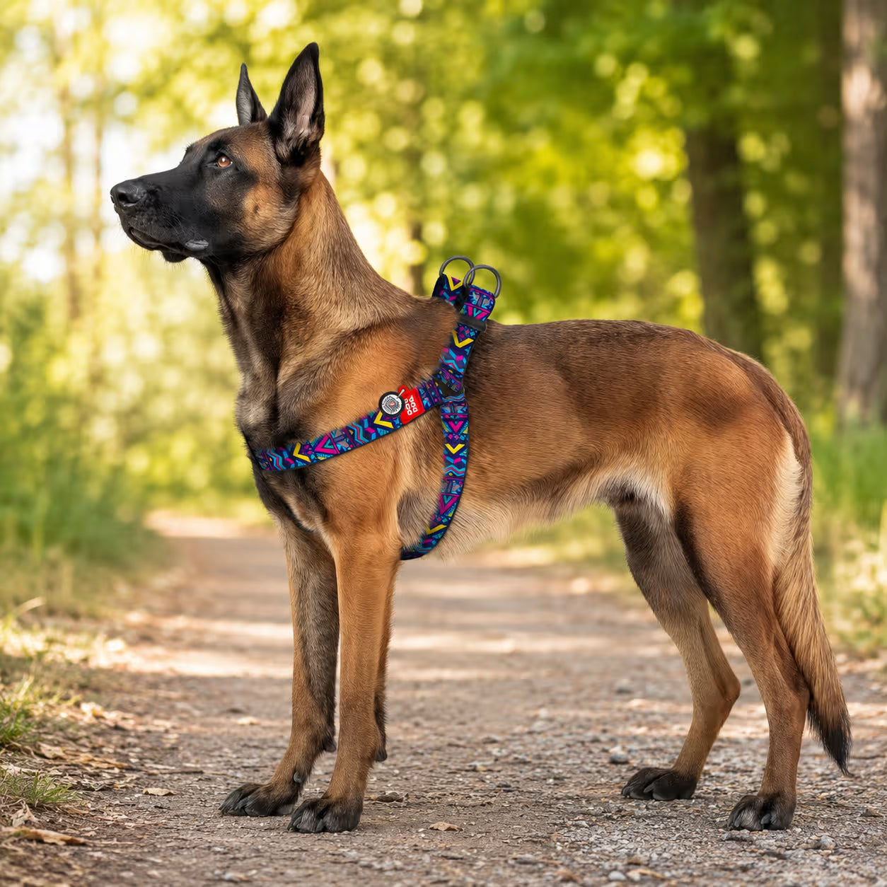 Nylon Dog Harness with Smart QR ID Tag – Indie Collection