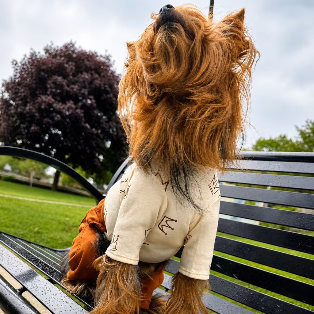 Chester Cotton Long Sleeve Dog Shirt