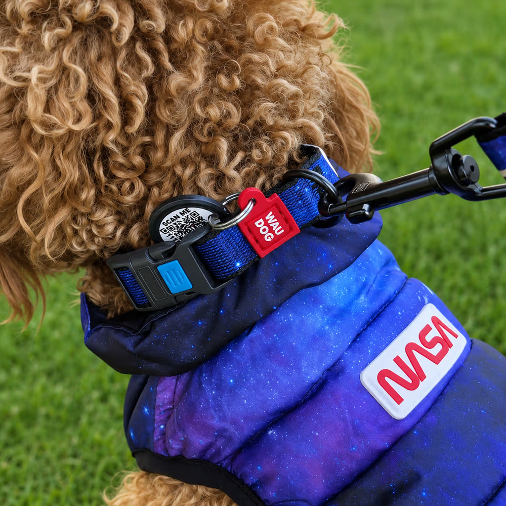 Nylon Dog Collar with Smart QR ID Tag - NASA21 Collection