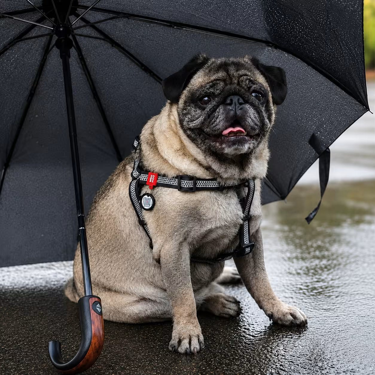 Waterproof Reflective Dog Harness with QR ID Tag