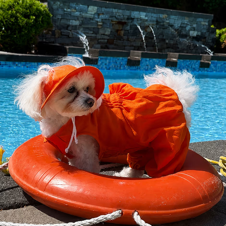 Combinaison légère d'été pour chien