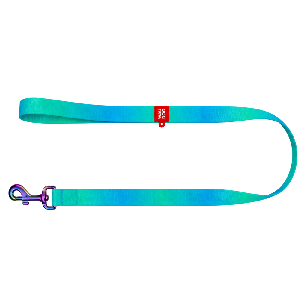 Gradient Eco Recycled Nylon Dog Leash