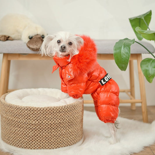 Winter Dog Jumpsuit Arctica — Warmth, Comfort & Care For Girls