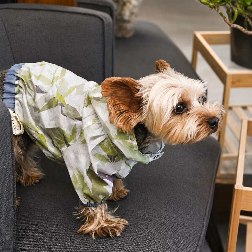 Lightweight Tencel Small Dog Windbreaker
