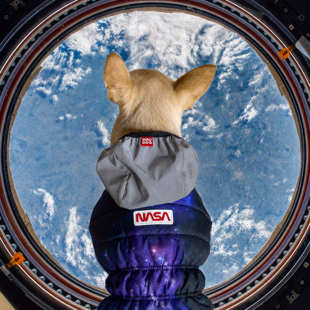 Nylon Dog Harness with Smart QR ID Tag - NASA21 Collection