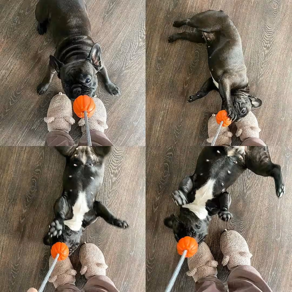 LIKER Cord – Dog Ball with Rope Toy