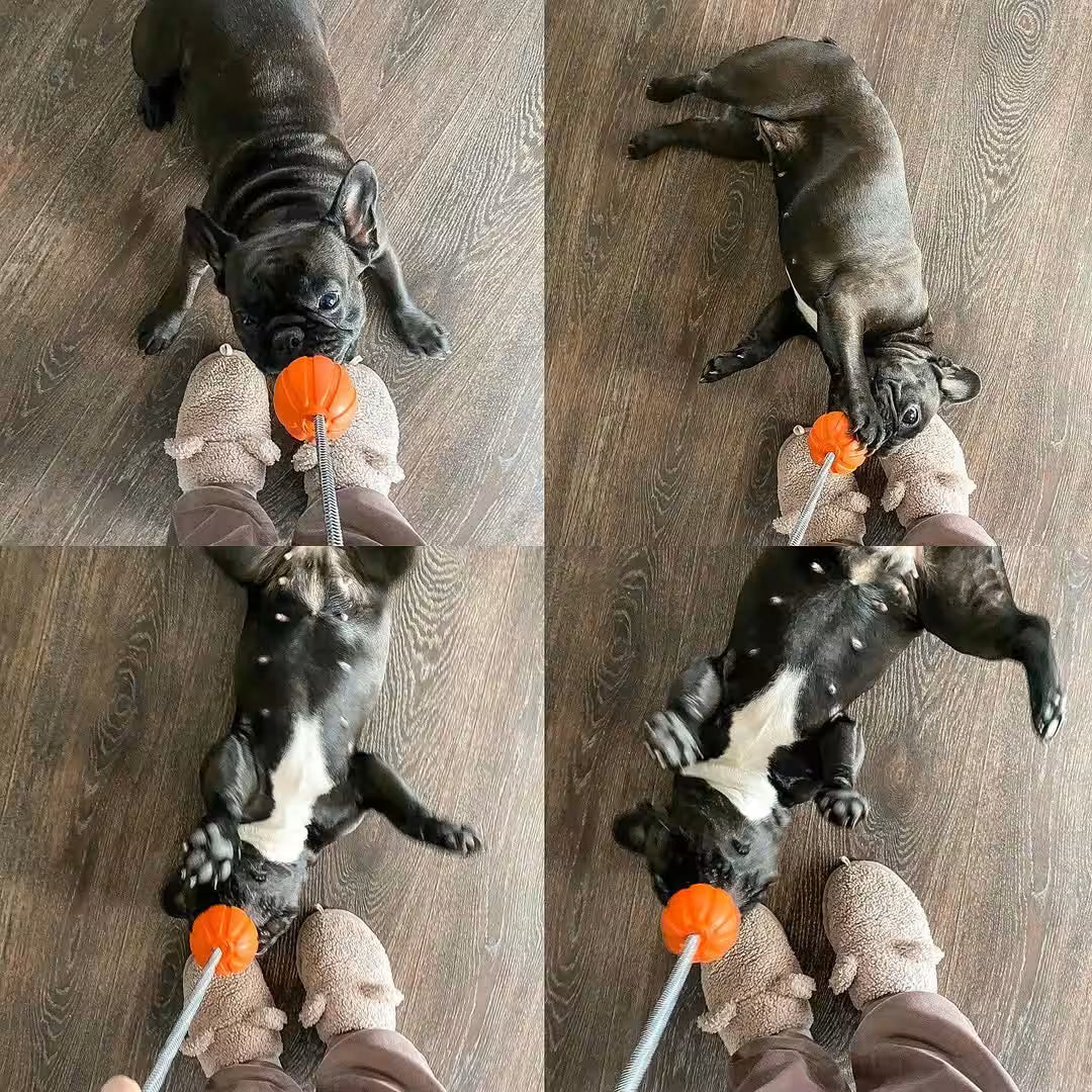 LIKER Cord – Dog Ball with Rope Toy