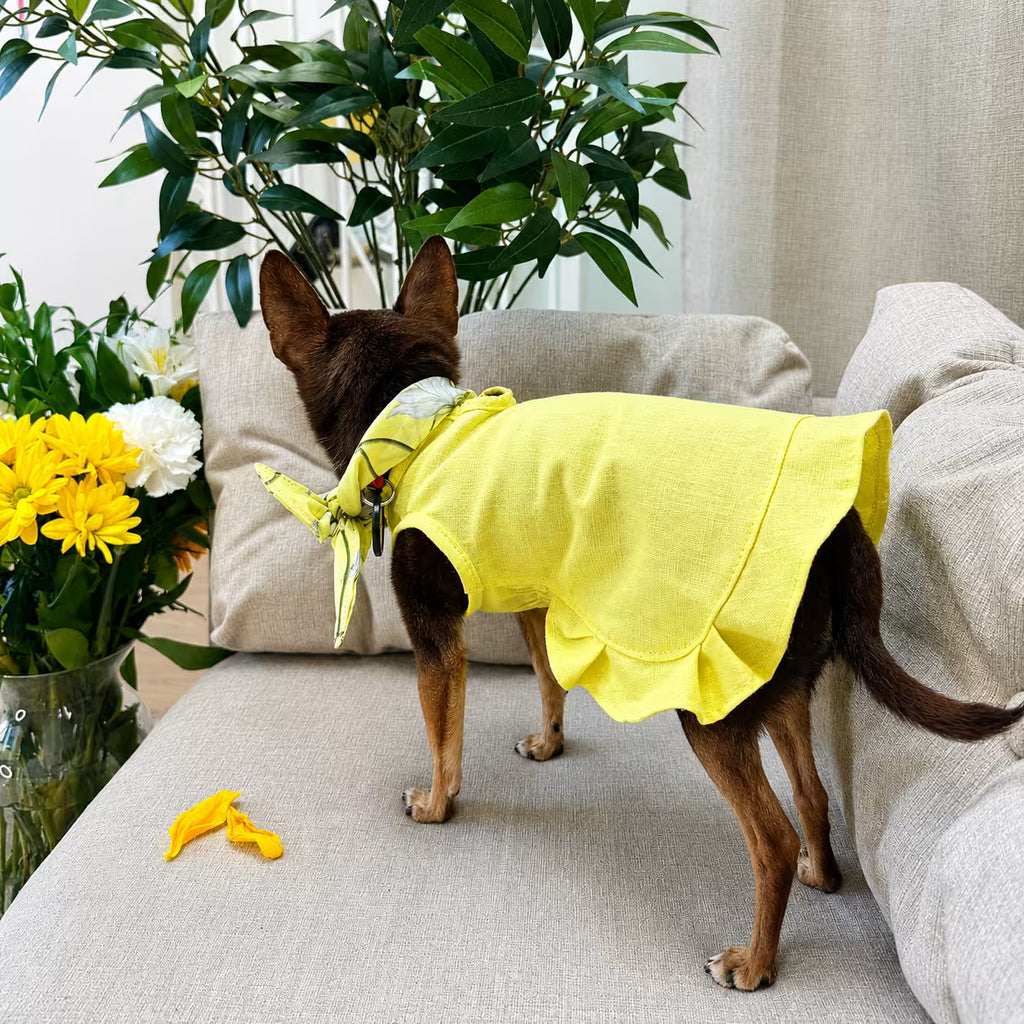 Sophie Linen Dog Dress – Breathable Summer Dress for Small Dogs