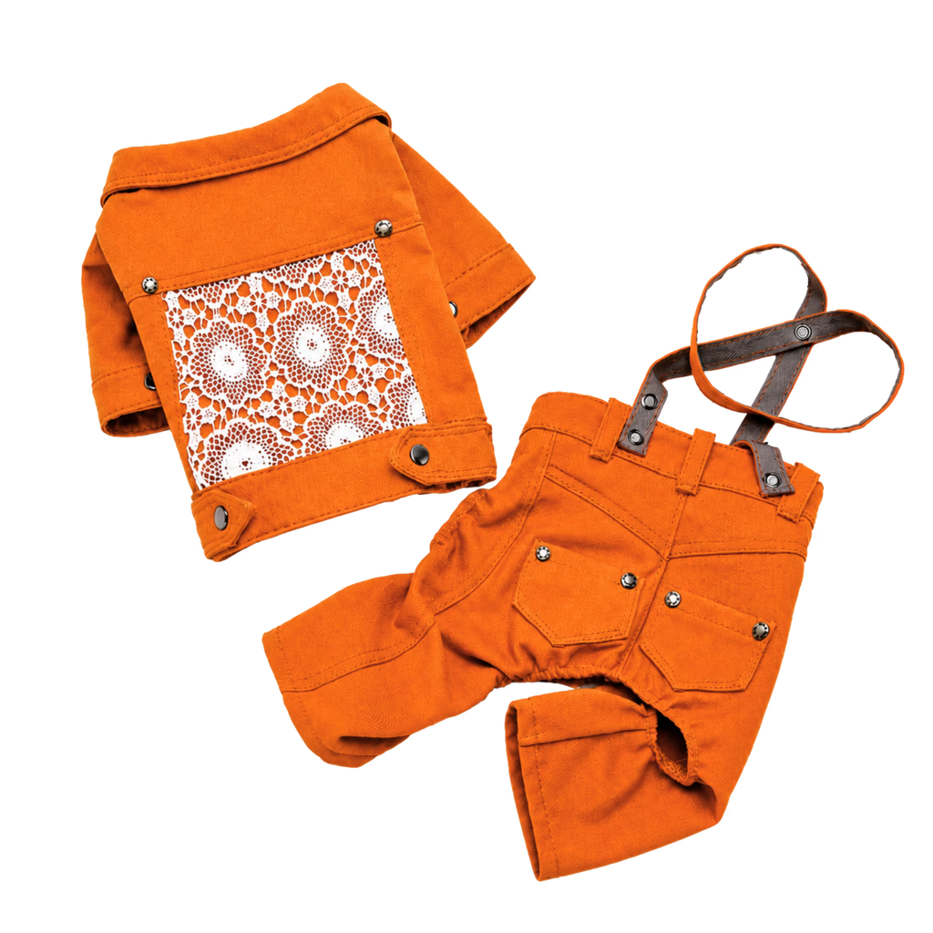 Designer Denim Dog Jacket & Pants Set with Lace