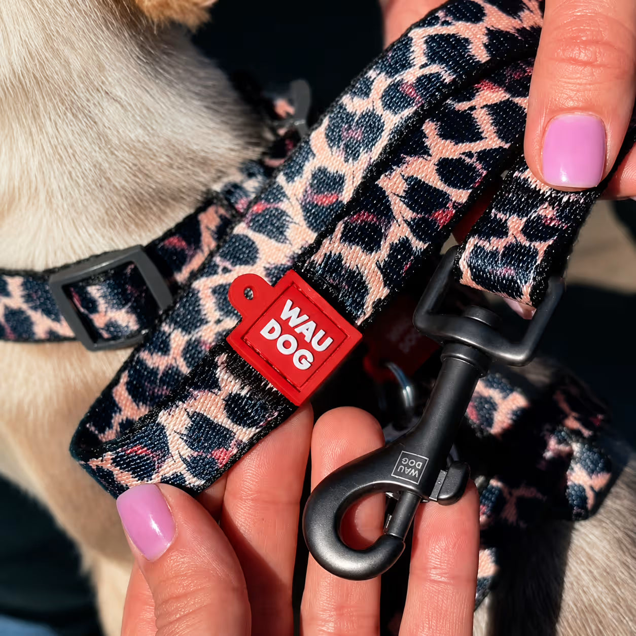 Nylon Dog Leash - Leopard Collection