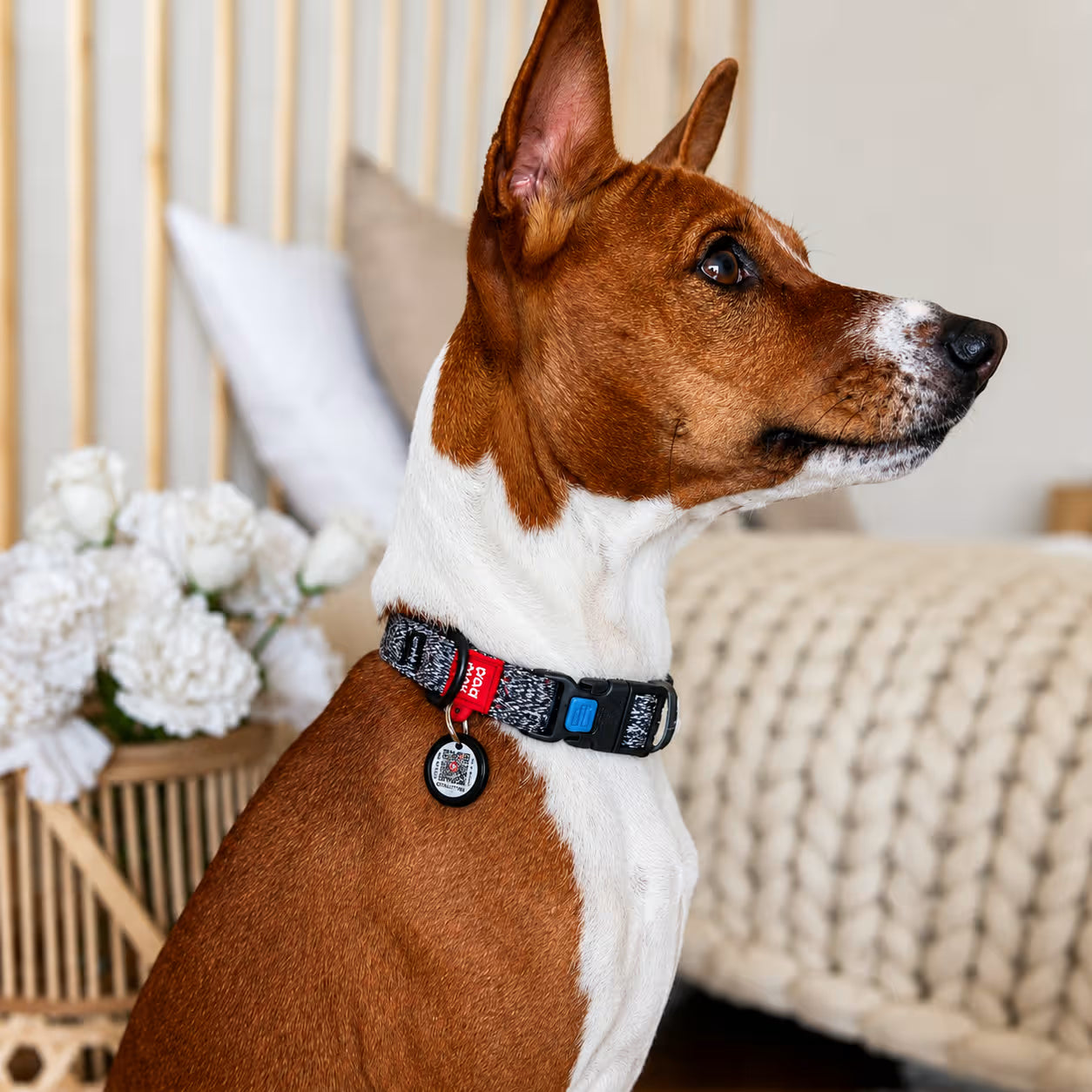 Eco Cotton Dog Collar - with Smart QR ID Tag