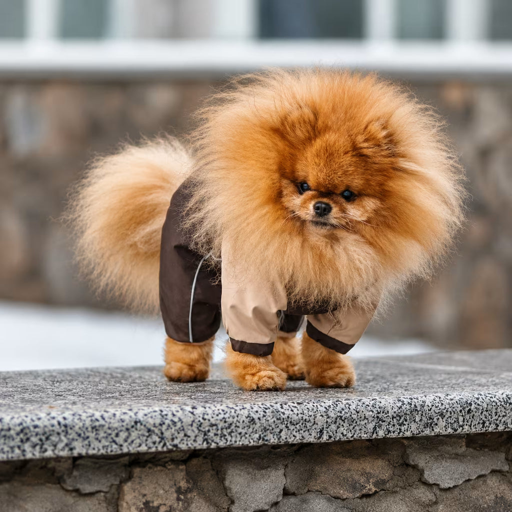 Waterproof Dog Raincoat for Pomeranians
