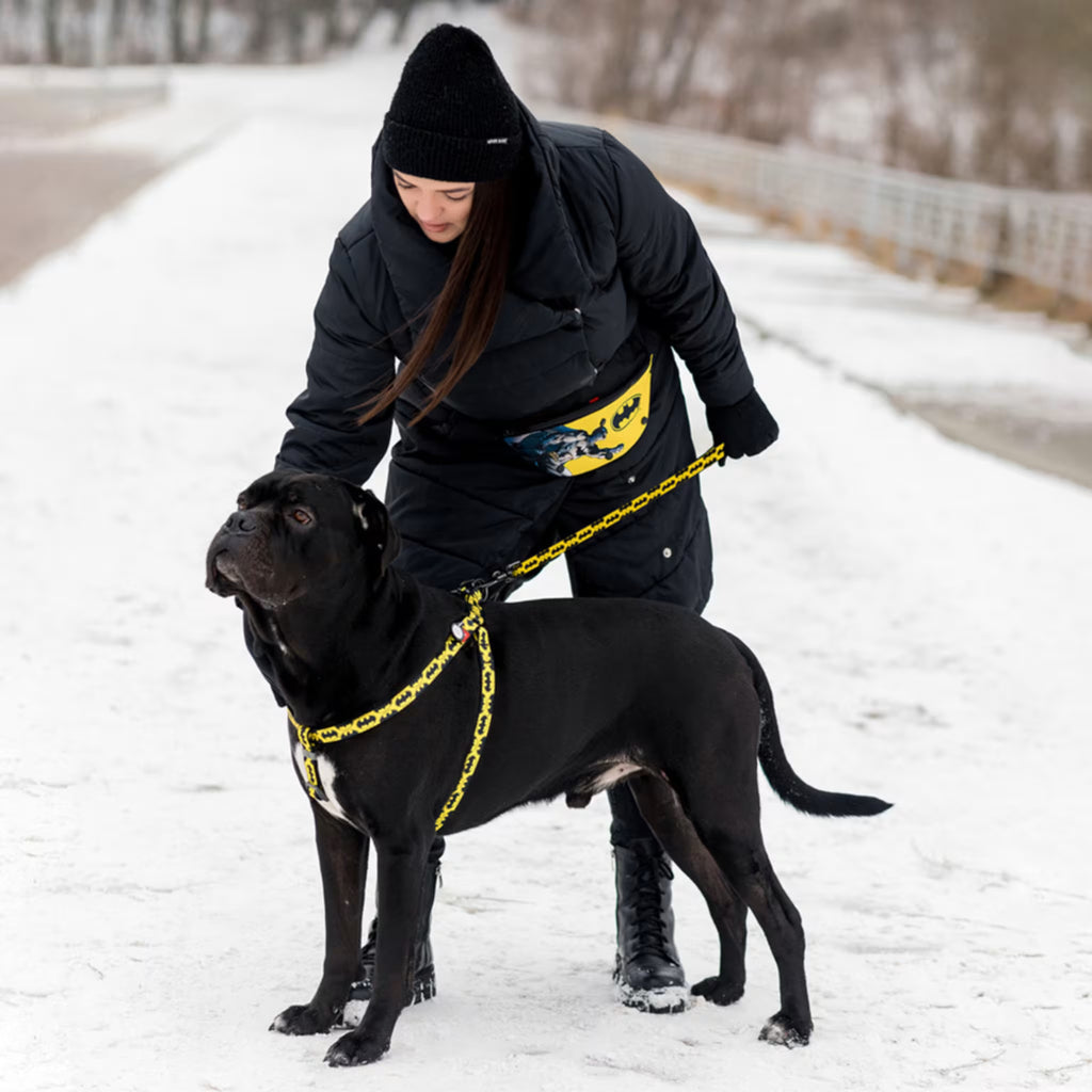 Batman Dog Leash with QR ID Tag