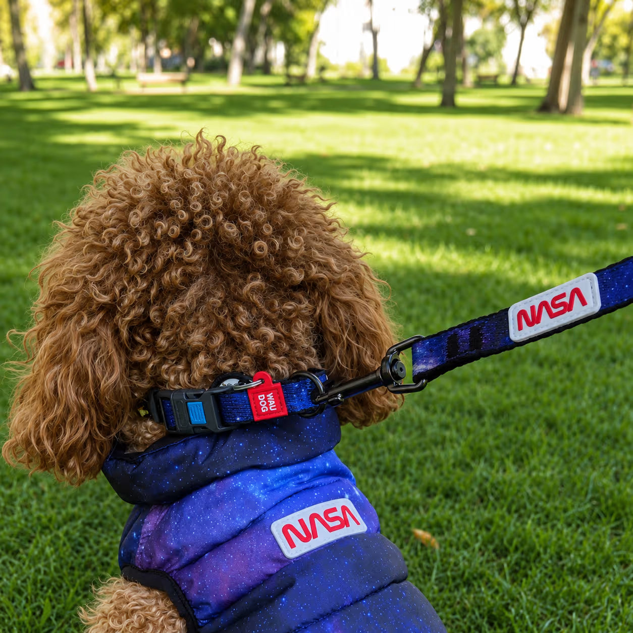 Nylon Dog Collar with Smart QR ID Tag - NASA21 Collection