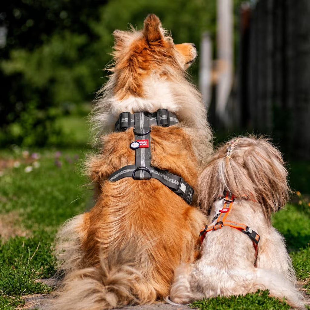 Waterproof Reflective Dog Harness with QR ID Tag