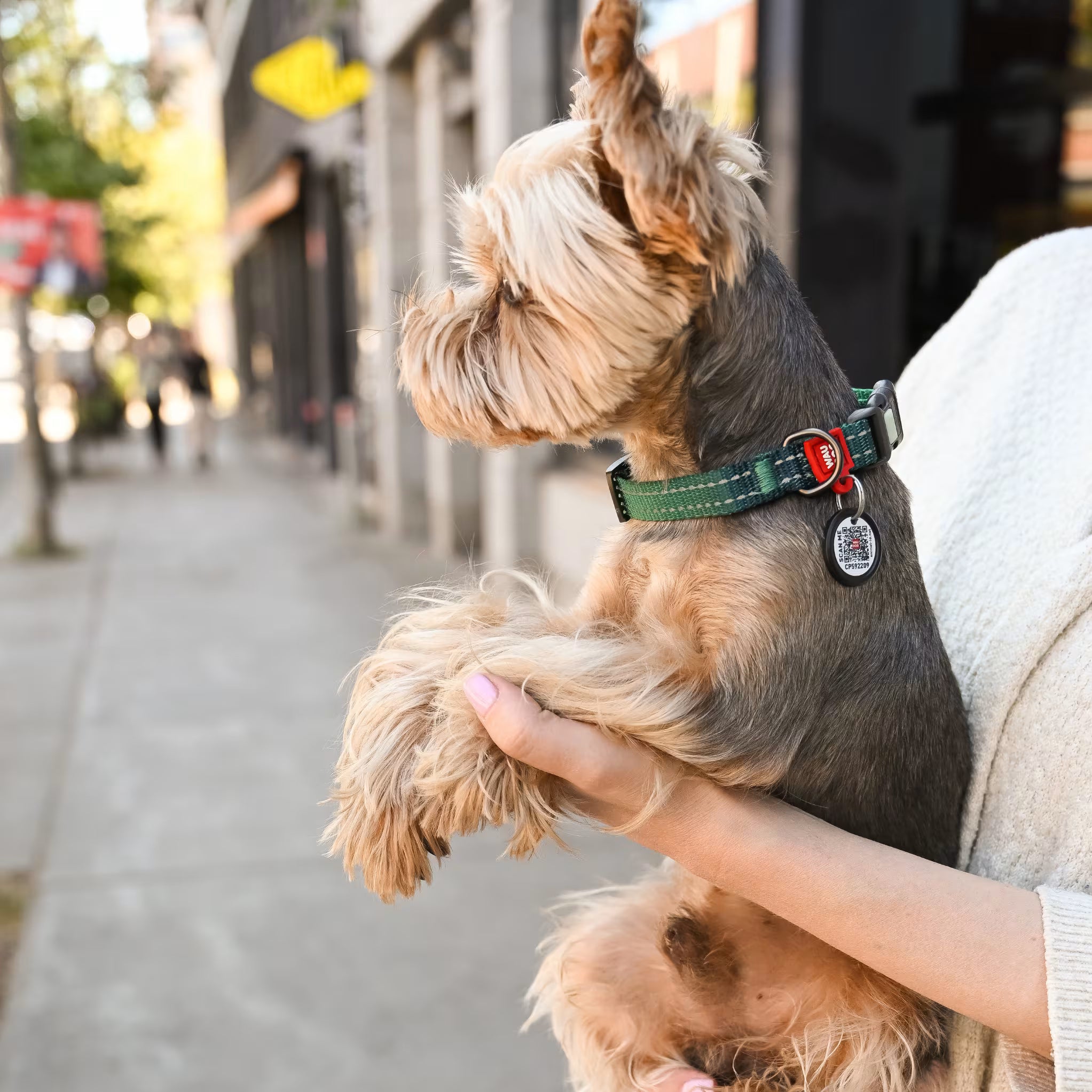 Mono Reflective Dog Collar with QR ID Tag