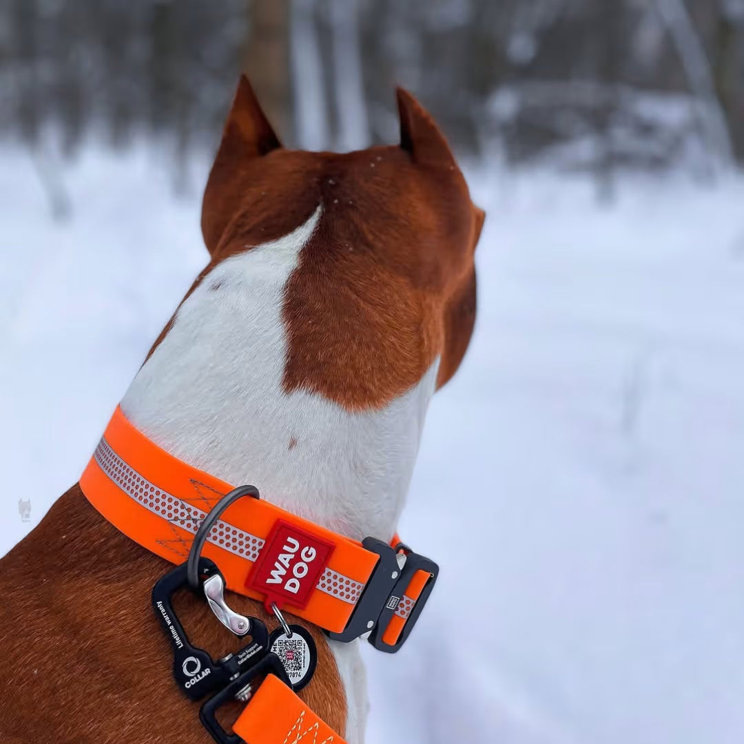 Waterproof Reflective Dog Collar with QR ID Tag
