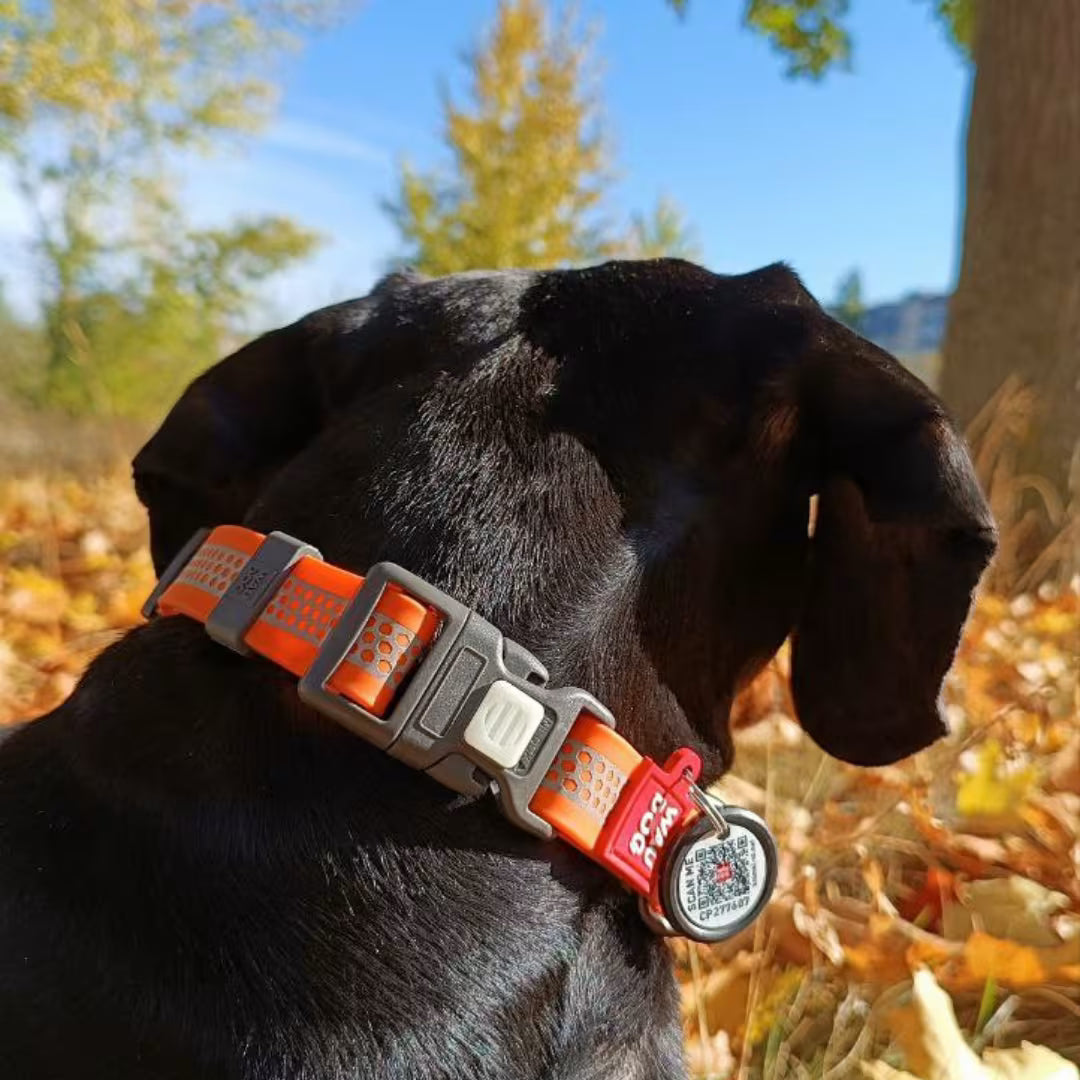 Waterproof Reflective Dog Collar with QR ID Tag