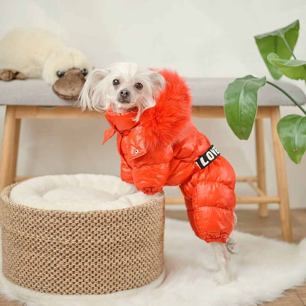 Winter Dog Jumpsuit