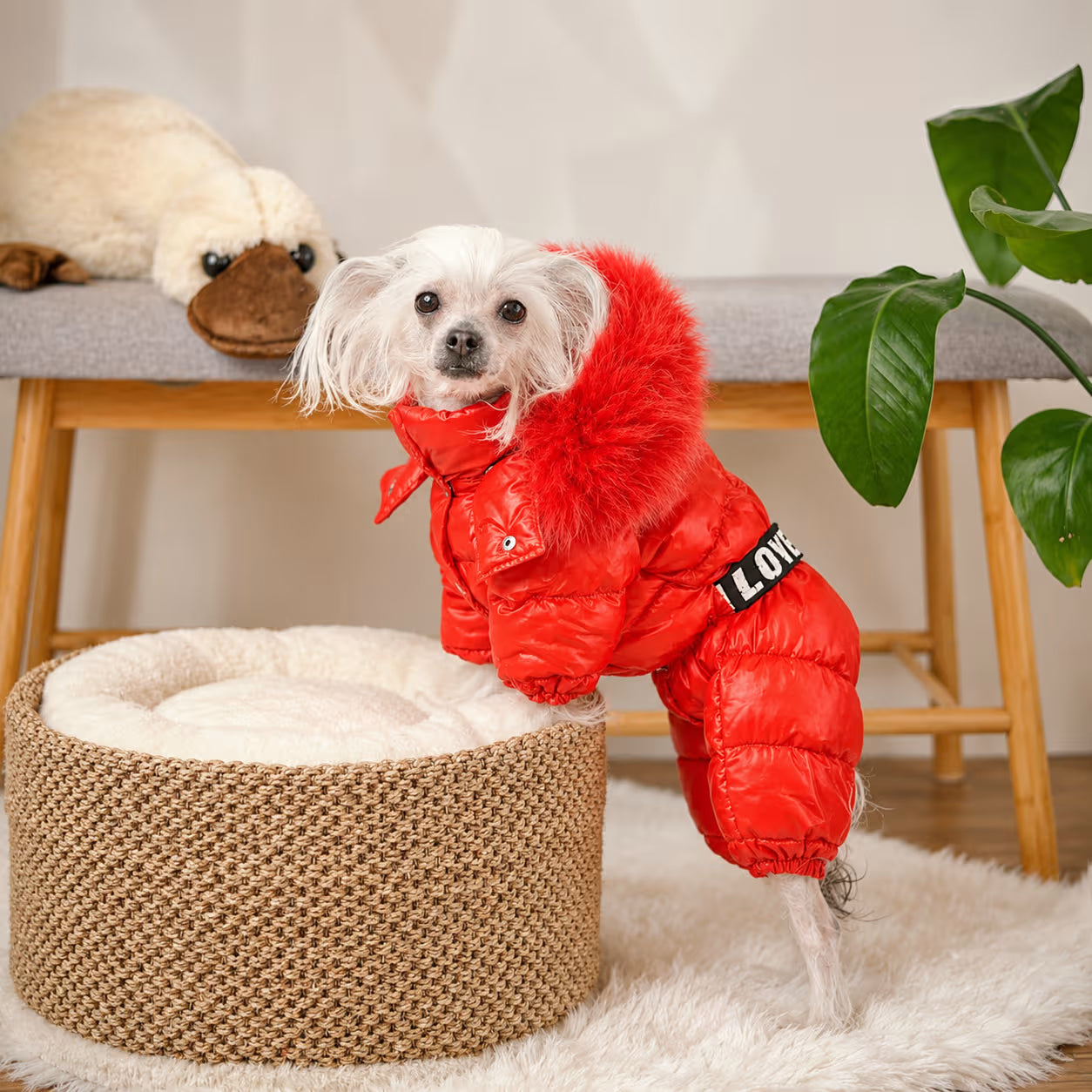 Winter Dog Jumpsuit