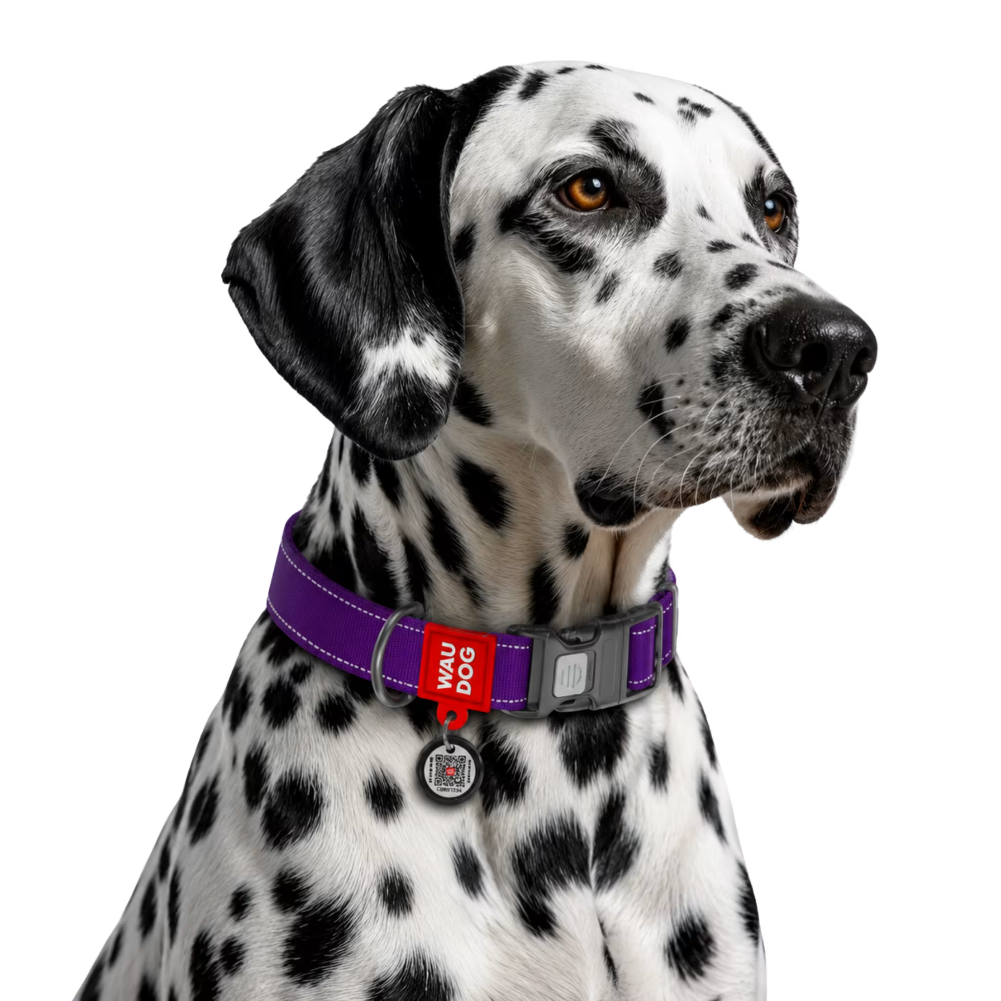 Mono Reflective Dog Collar with QR ID Tag