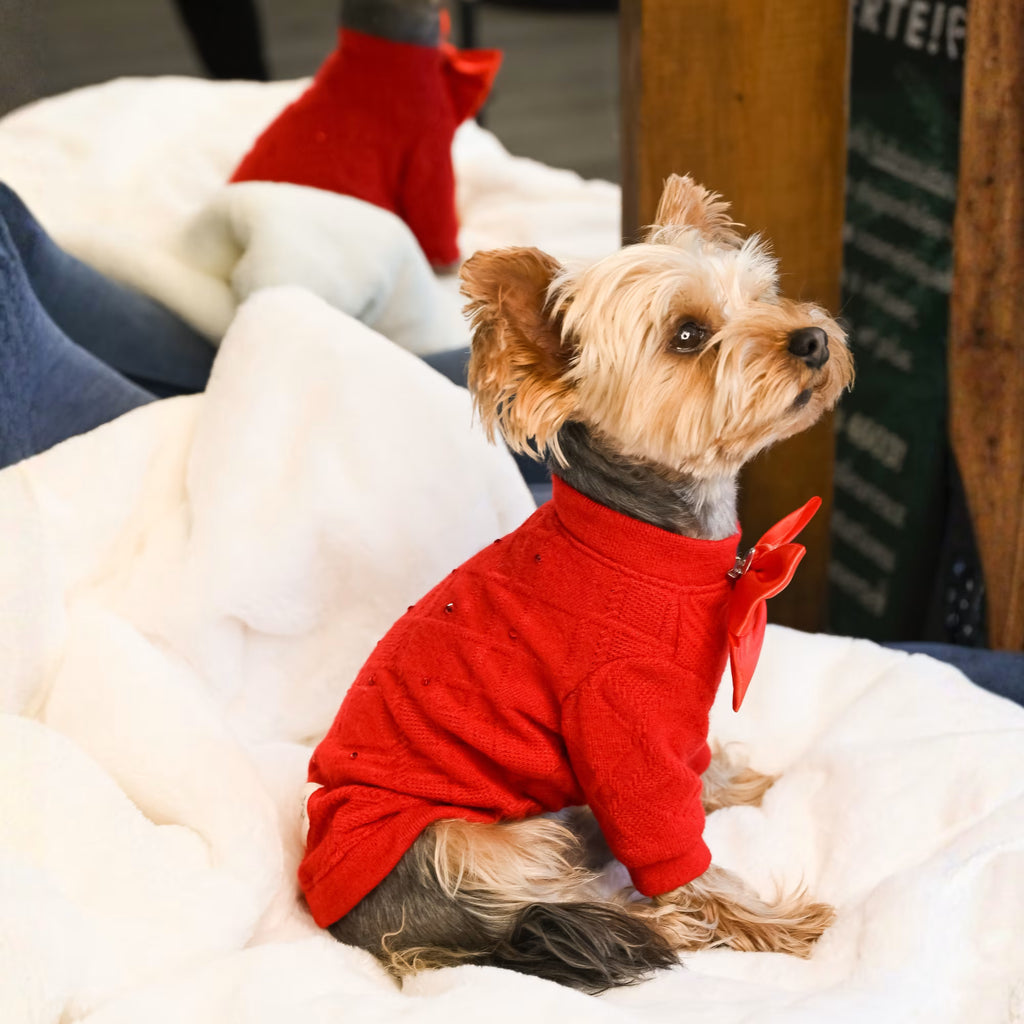 Charm Designer Dog Sweater