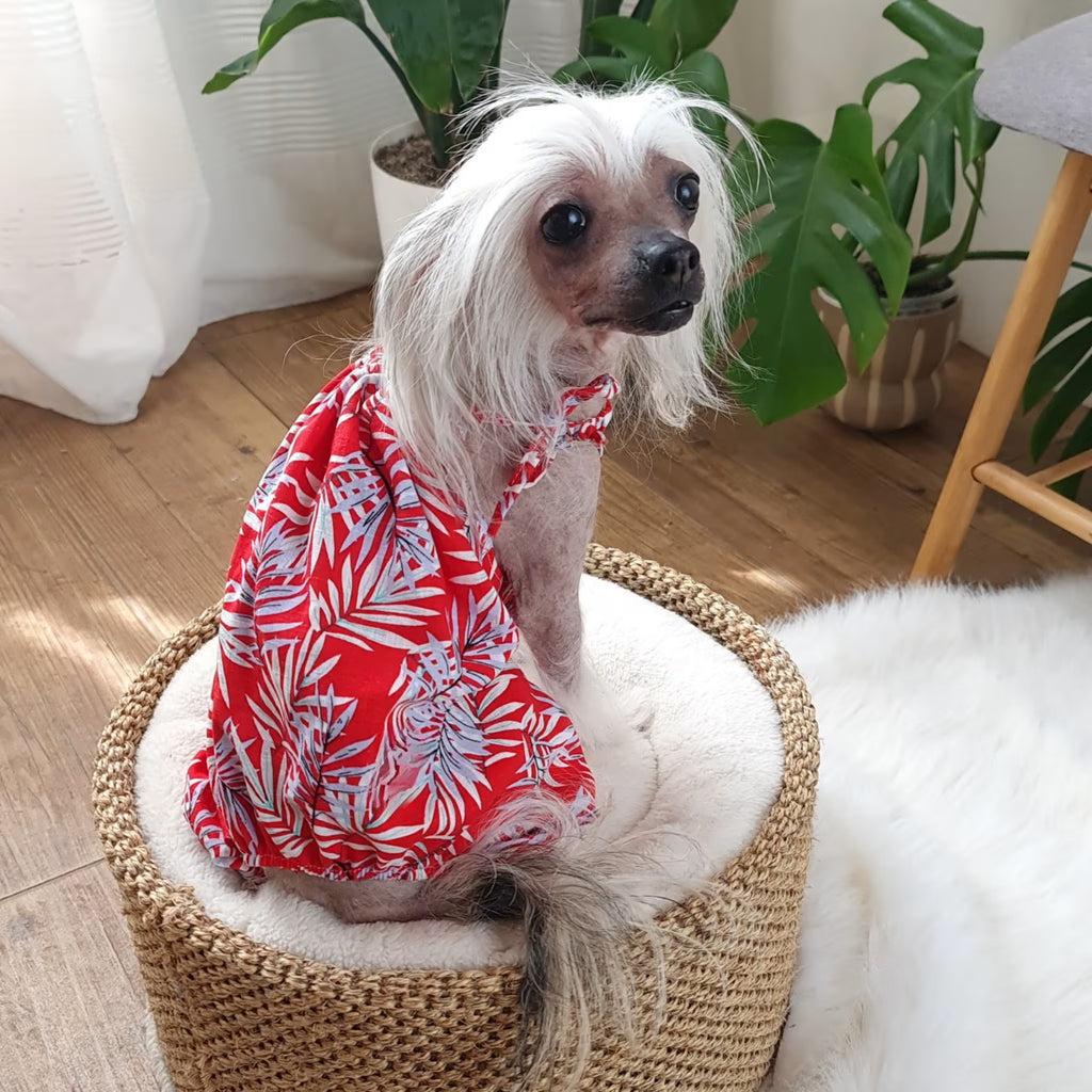 Linen Dog Romper Lightweight Summer Clothing