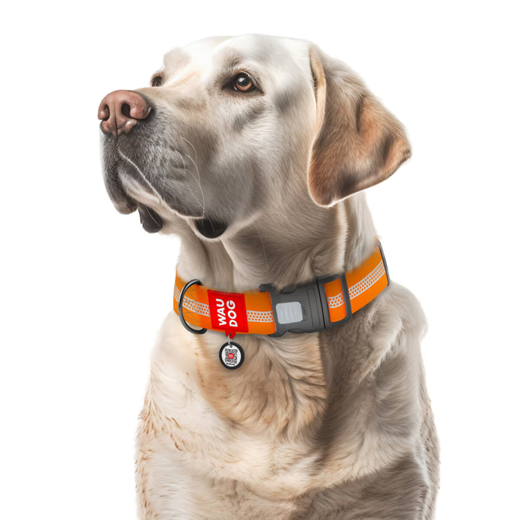 Waterproof Reflective Dog Collar & Leash Set with QR ID Tag