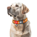 Waterproof Reflective Dog Collar & Leash Set with QR ID Tag