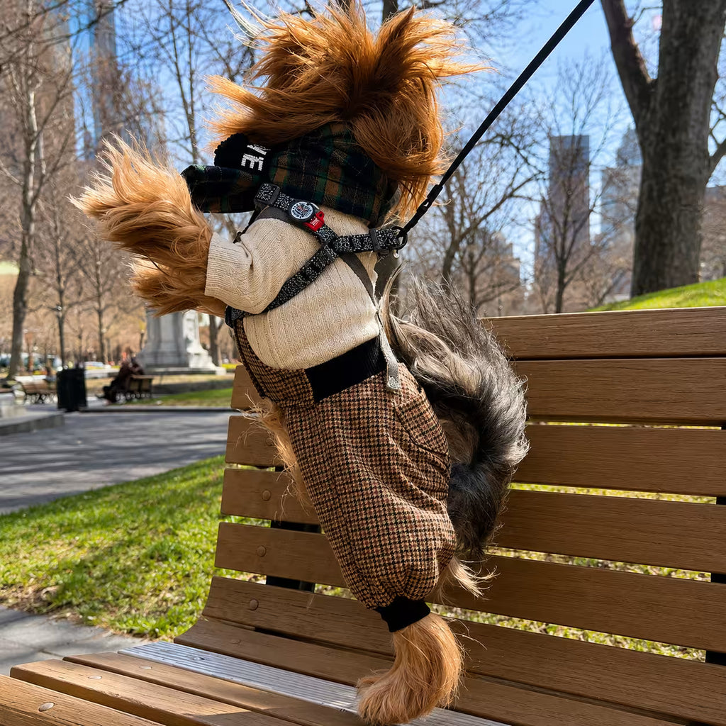 Scotsdog Wool Dog Pants
