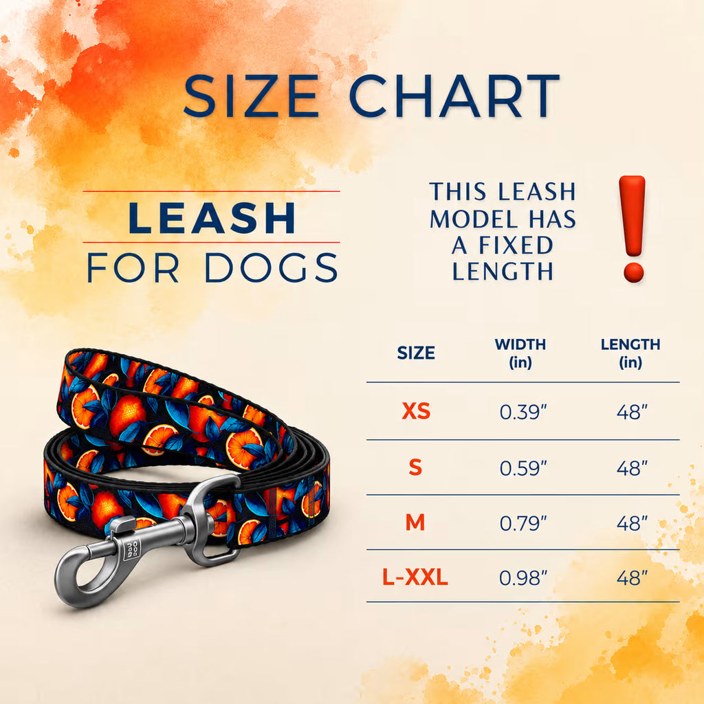Nylon Dog Leash – Monsters & Oranges Collection