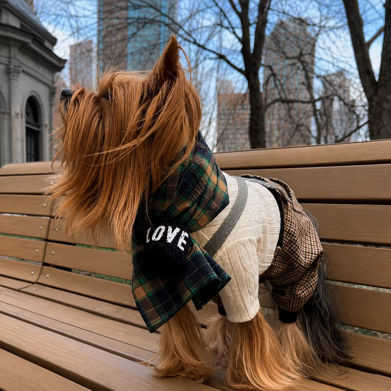 Scottish Wool Dog Scarf